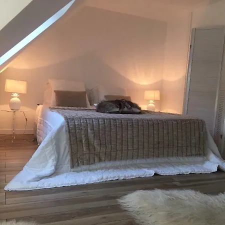 Loft Duplex Neuf 65m2 *