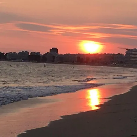 Apartment Loft Duplex Neuf 65m2