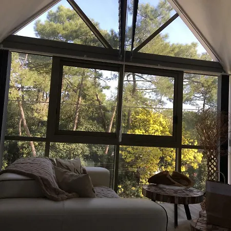 Апартаменты Loft Duplex Neuf 65m2 Ла-Боль-Эскублак