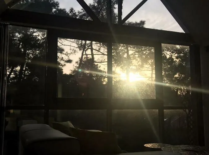 Apartment Loft Duplex Neuf 65m2 *