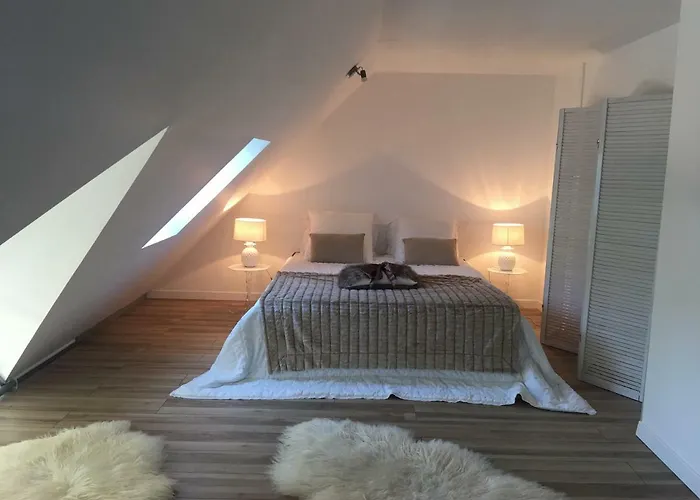 Apartment Loft Duplex Neuf 65m2