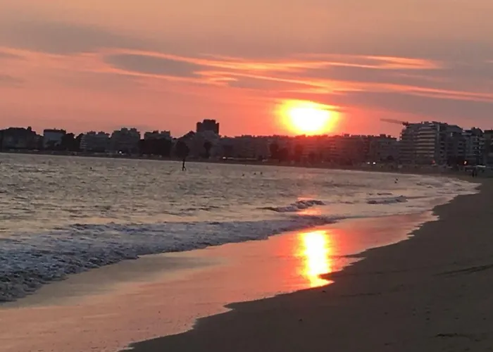 Apartment Loft Duplex Neuf 65m2